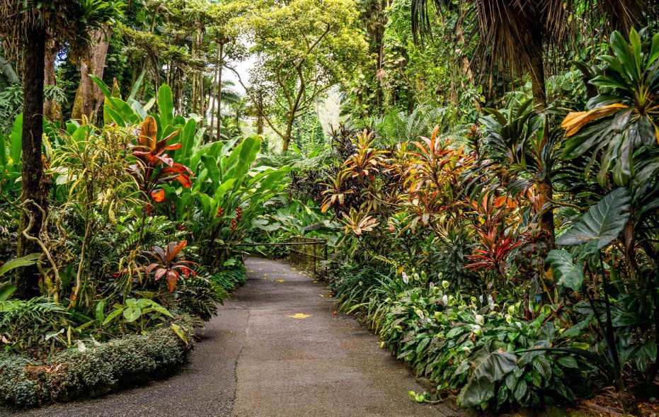 Hawai‘i Tropical Botanical Garden, United States